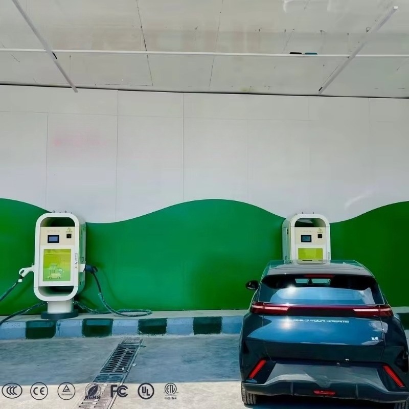 EU Standard EV Charger Fast Ch - огляд і ціна Ev Charging Pile